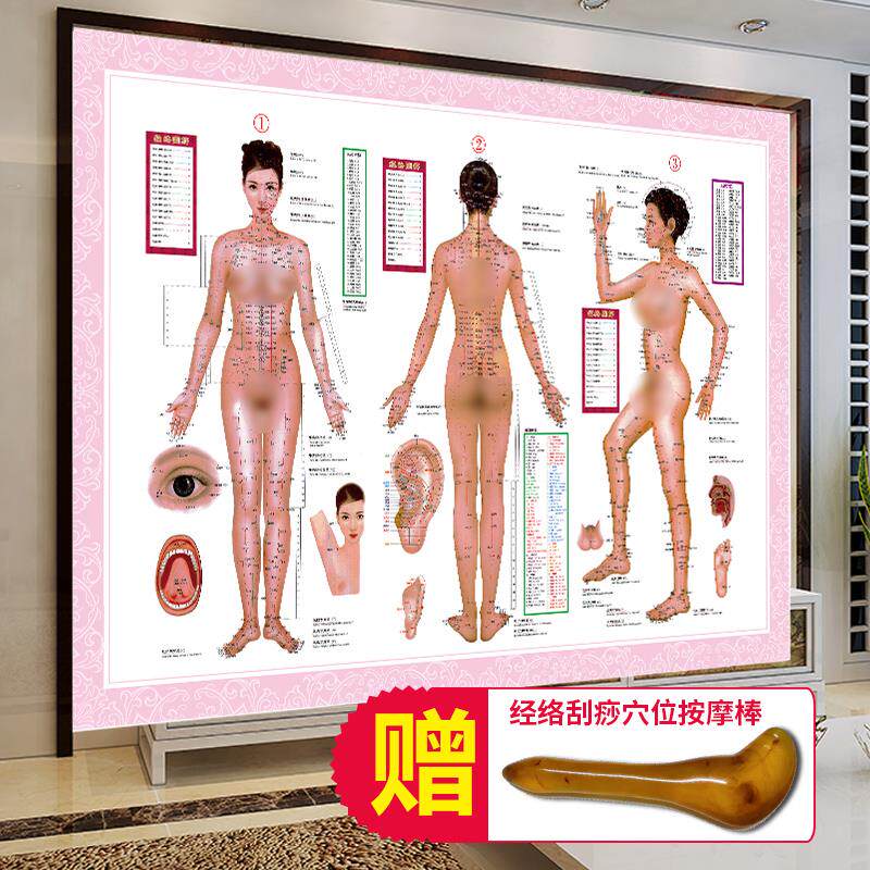人体经络穴位图标准大图真人模型挂图背部按摩图中医养生推拿海报