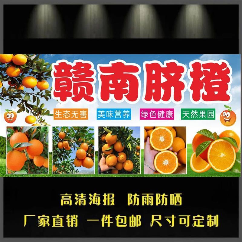 赣南脐橙广告防水自粘海报小推车地摊果园广告喷绘布