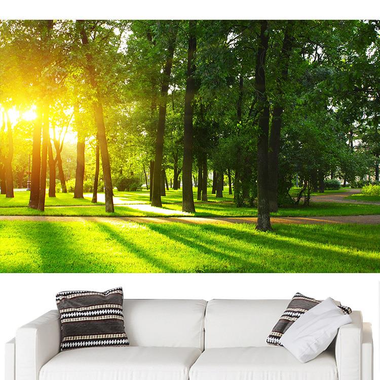 阳光树木草地装饰画绿色树林墙贴壁画公园护眼书房客厅宿舍自粘