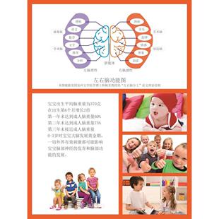 左右脑功能图 墙贴墙纸 海报 才能递减法则 展板 装饰画