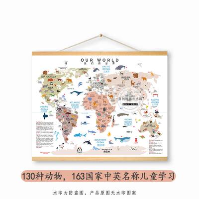 2025动物世界趣味早教地图儿童房地理益智科教英语学习挂画教室