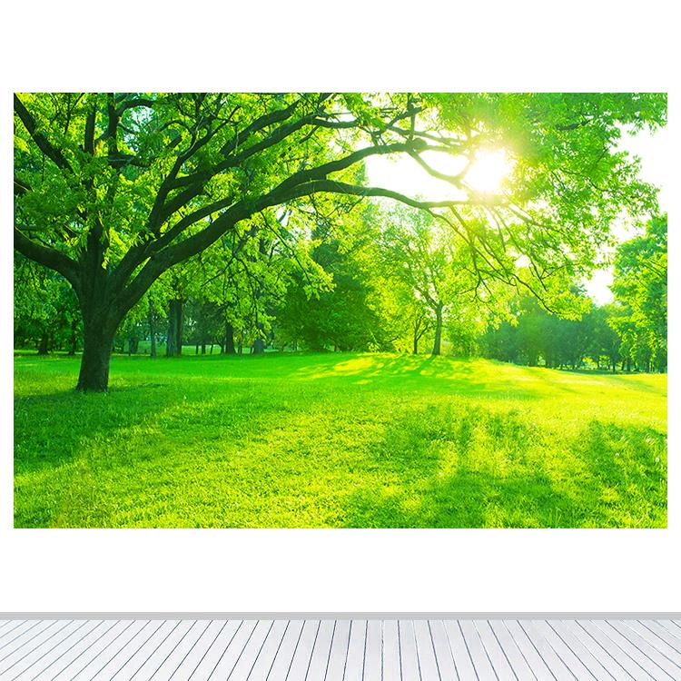 绿色树林树木森林风景画卧室书房墙贴一棵阳光大树草地装饰自粘画图片