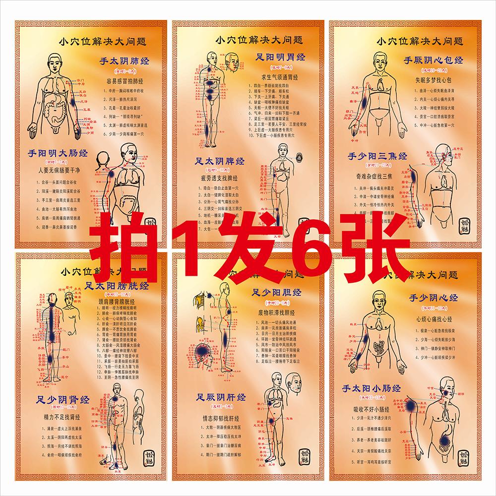 人体经络穴位图 拍1发6张中医保健养生宣传装饰画