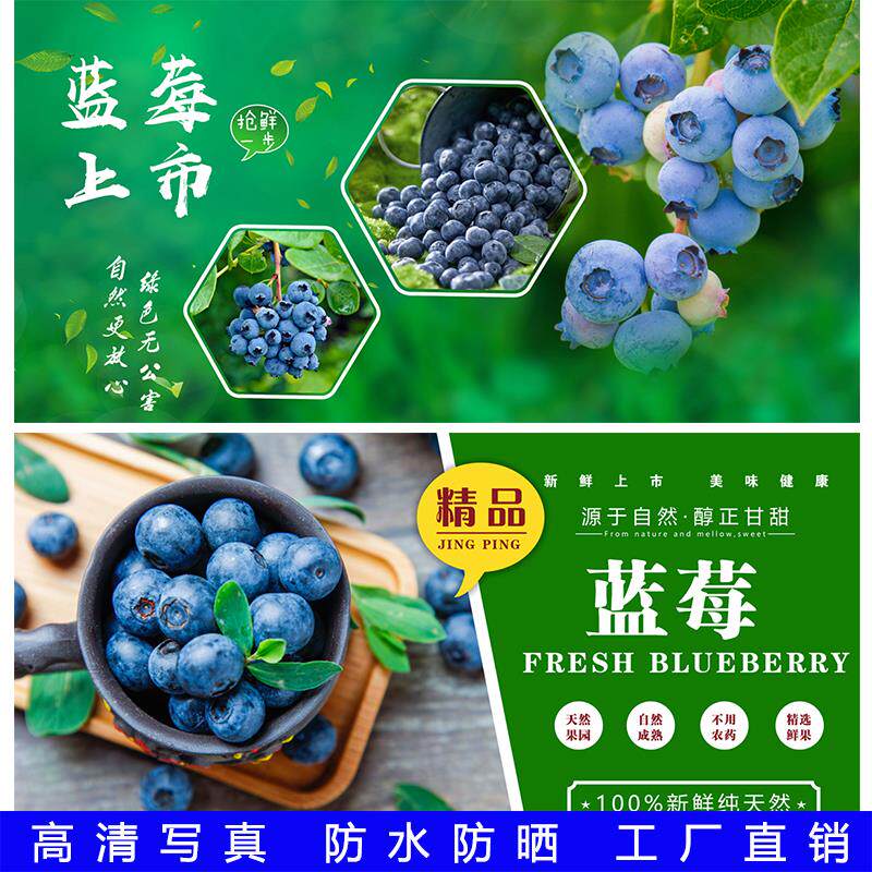 水果店高清新鲜蓝莓果实果肉店铺氛围墙纸贴纸装饰画广告自粘贴画