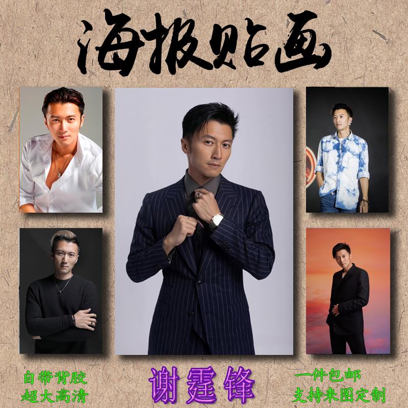 谢霆锋海报贴画男歌手室内自粘写真照片大幅PP胶免打孔来图定制