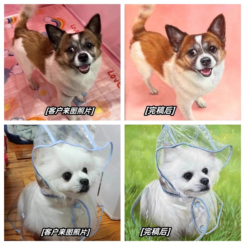 纯手绘油画定制宠物照片肖像真人自画像风景装饰画人物花卉玄关画图片