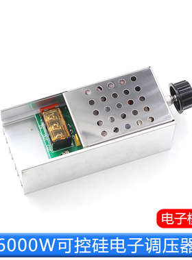 6000W进口大功率可控硅 电子调压器 调光 调速 调温 带外壳