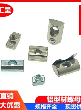 铝型材螺母T型滑块钢珠弹性弹片方形欧标国标2030405M6M8船后装置