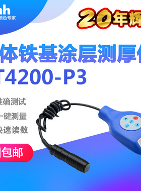 分体涂层测厚仪汽车漆面涂镀层测厚z仪钢铁镀锌层测厚仪YT4200-P3