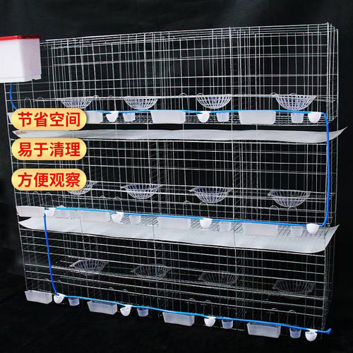 鸽笼鸽子笼12位鸽笼4层养殖白鸽笼鸽笼用品用具3层4层养殖鸽子笼