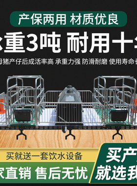 母猪产床产保一体两用保育床分娩双体产床猪产床老母猪用定位栏
