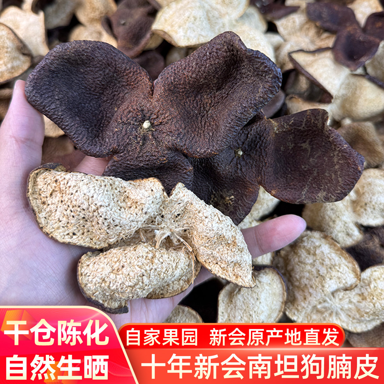 十年新会南坦冬后狗腩大红皮老树原枝柑精选陈皮干泡茶官方旗舰店