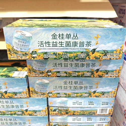 山姆Drinksba金桂单丛活性益生菌康普茶 益生菌气泡康普茶