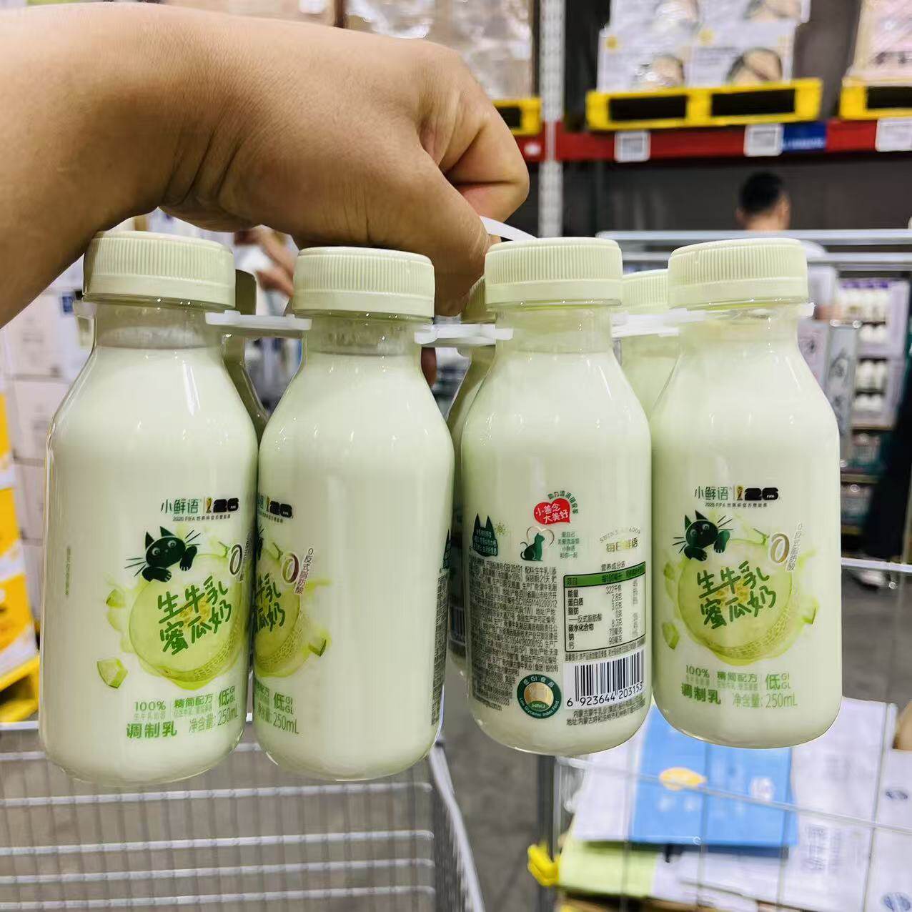 山姆 小鲜语生牛乳蜜瓜奶250ml*8瓶 乳香浓郁 休闲饮品