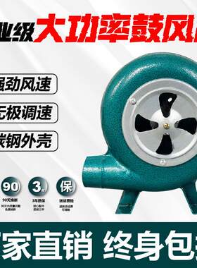 鼓风机小型220v强力静音家用烧烤吹碳柴火炉专用吹风机迷你大功率