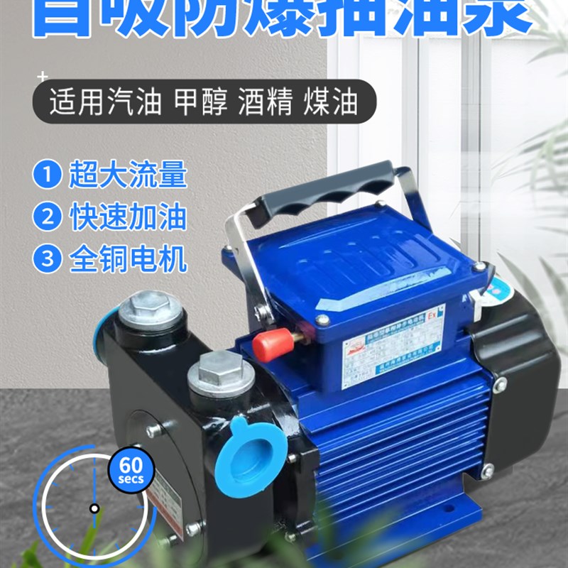 准王抽油泵12V24V220V防爆电动甲醇汽油柴油大流量车载自吸加油泵