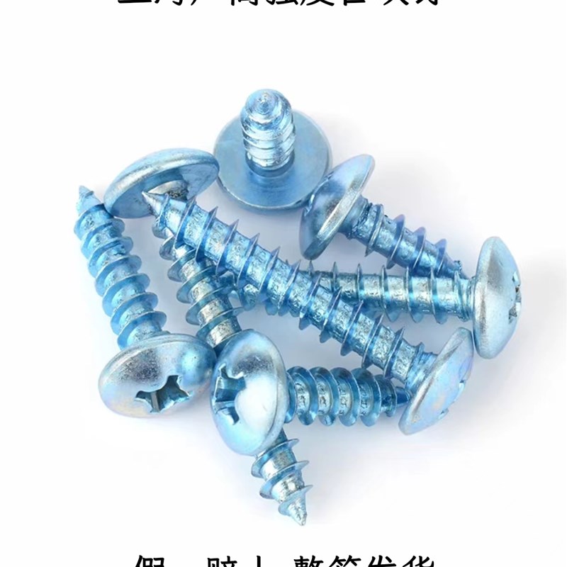 整箱高强度加硬镀锌大扁头螺丝蓝白自攻十字自攻钉木牙自攻螺丝钉