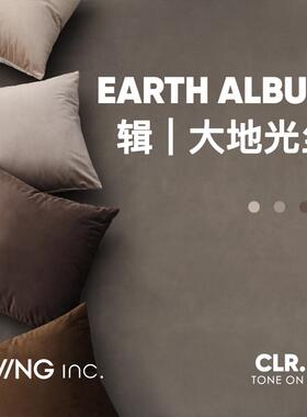 LIVING inc.大地天鹅绒 棕色ins抱枕沙发客厅轻奢靠垫床上靠枕套