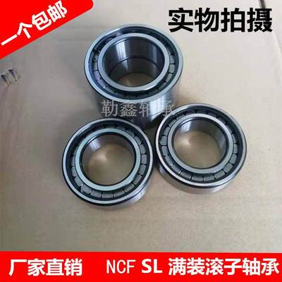 满装 圆柱 轴承 SL NJG 2320 2322 2324 192320 192322 192324