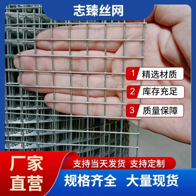 厂家直销镀锌铁丝网镀锌电焊网养殖围栏网建筑网片规格齐全铁网