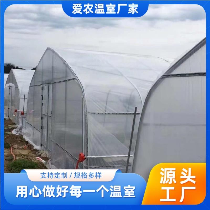 温室大棚育苗透明薄膜棚保温养殖棚防风防雨大棚种植草莓蓝莓拱棚