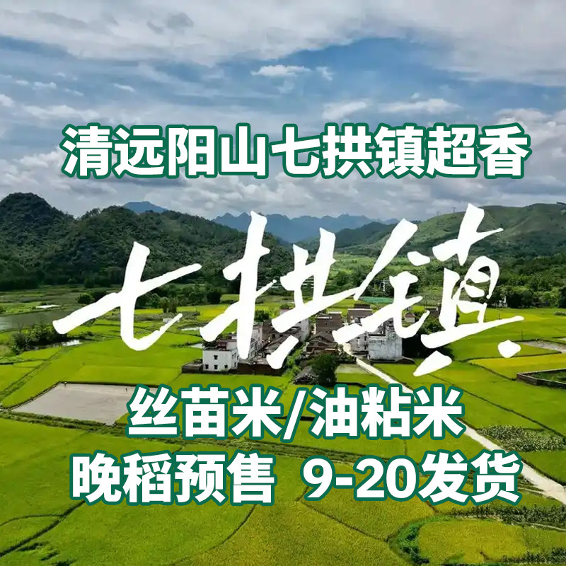 早稻！清远阳山七拱大米金象牙米新鲜丝苗香米新软糯煮饭煮粥炒饭图片