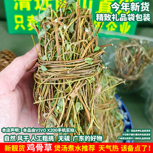 广东清远鸡骨草有梗有叶子鸡骨相思藤茶袋泡茶养生茶甜茶热气湿气