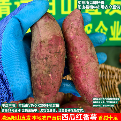 阳山新鲜西瓜红番薯清远农产品粉糯红皮黄心广东农家阳山特产整箱