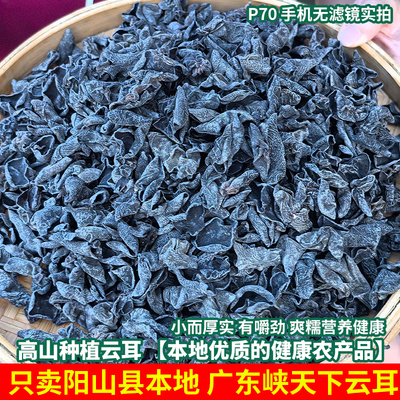 清远阳山云耳 农家农村正宗干货小碗新货椴木特产肉厚无根黑木耳