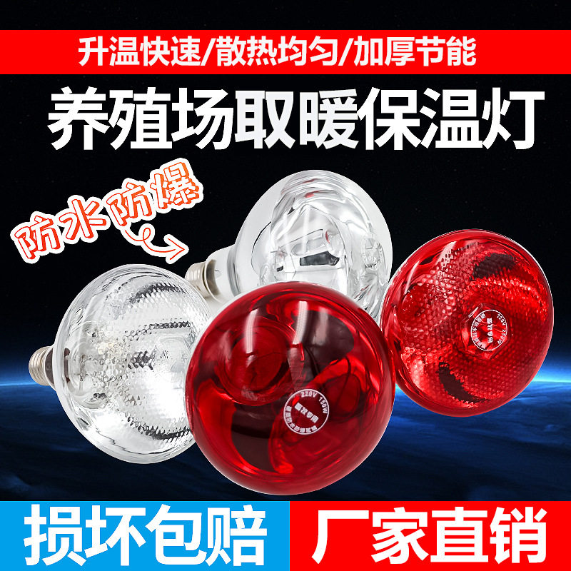 250w畜牧取暖灯泡小鸡仔175w