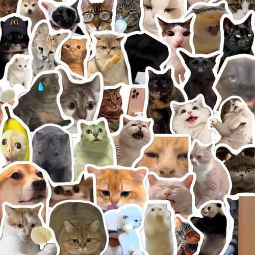 包浆猫meme贴纸猫咪搞笑素材贴画