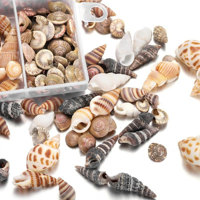 幼儿米螺海洋风花螺手机壳材料