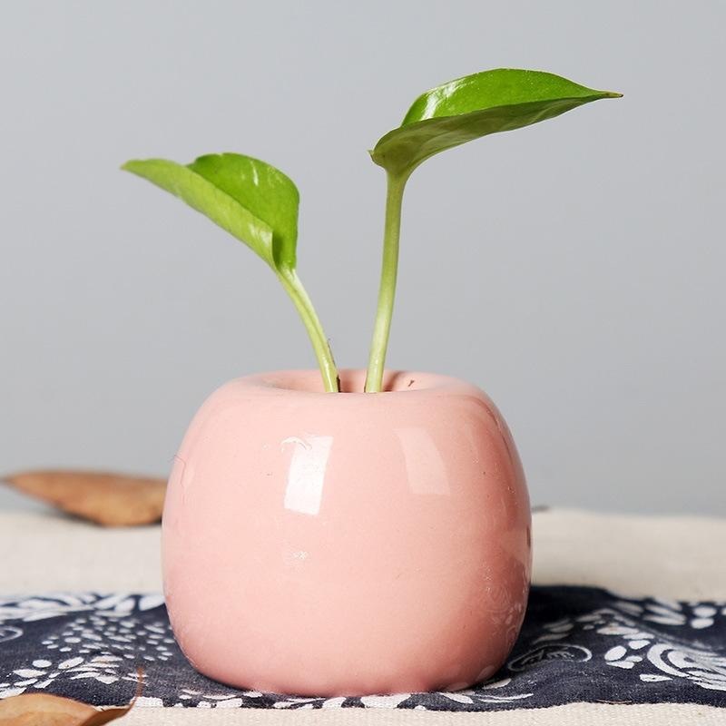 简约植物花瓶装饰品小绿植办公室