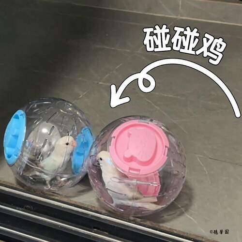 鹦鹉玩具跑球虎皮牡丹解闷自嗨