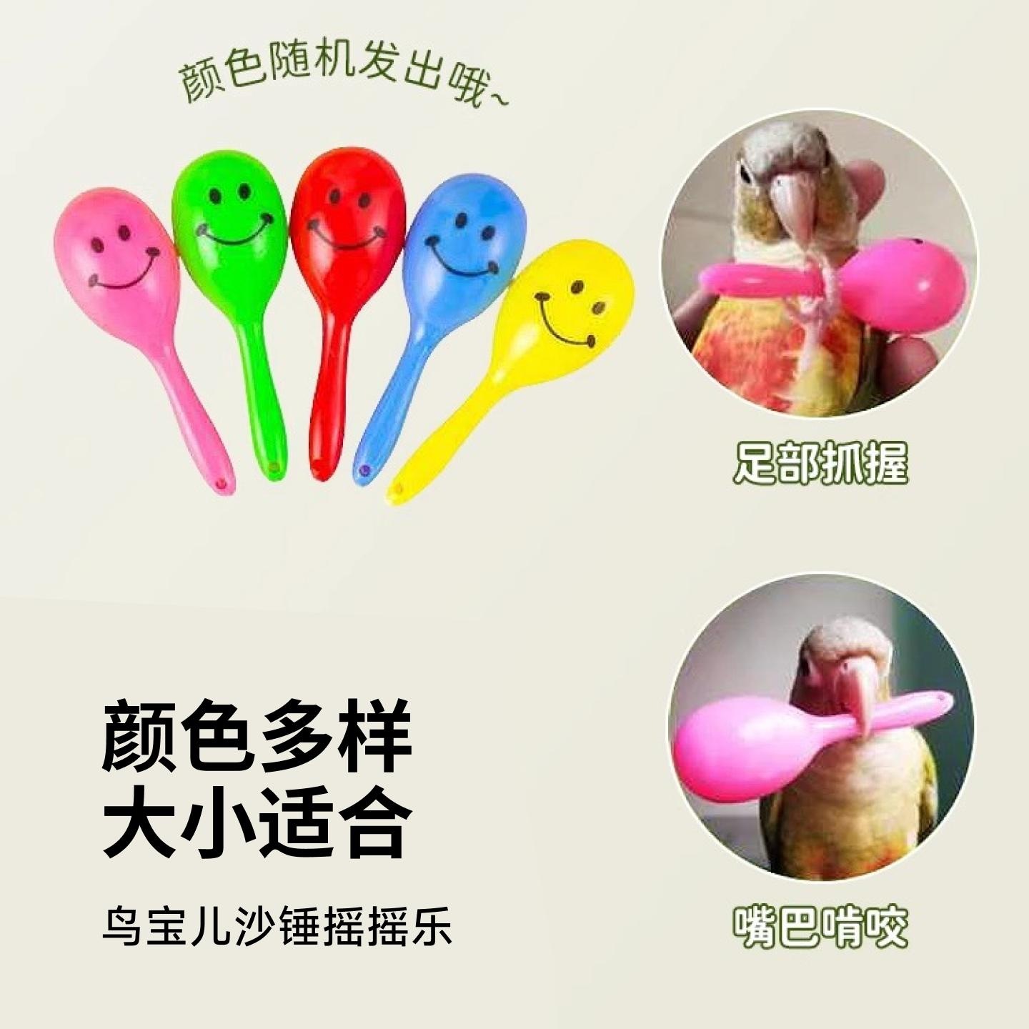 小沙锤解闷鹦鹉磨牙小鸟小太阳