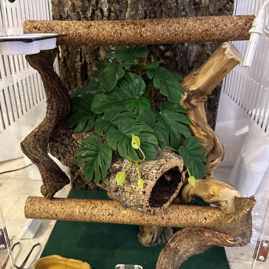 爬虫软木棒天然爬杆蜥蜴用品栖息