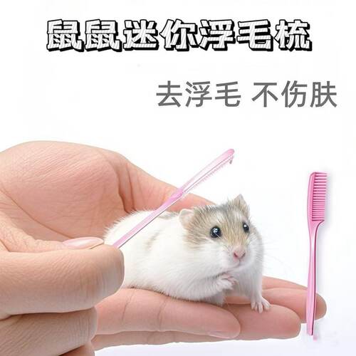 迷你小梳子兔子梳毛刷浮毛花枝鼠