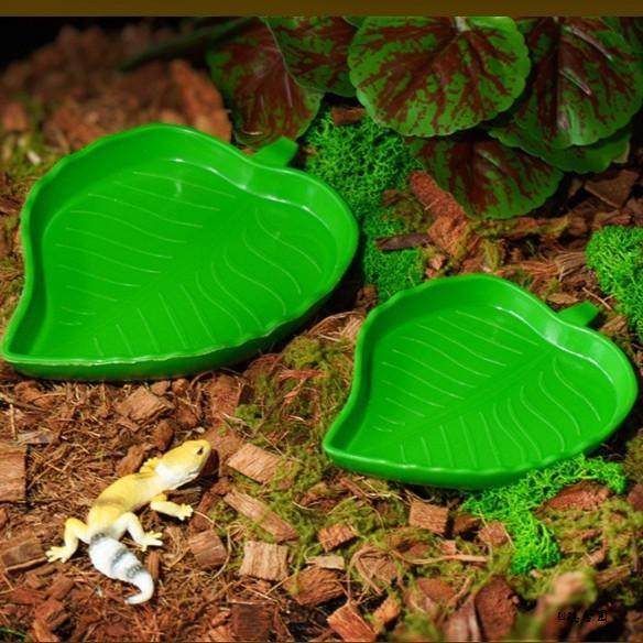 小型仿真叶子形状喂食碗两用碗爬宠日用品宠物蛇树叶塑料绿色创意,宠物/宠物食品及用品,爬宠清洁及日用品,淘宝优惠券,粉丝福利购,淘宝优惠卷