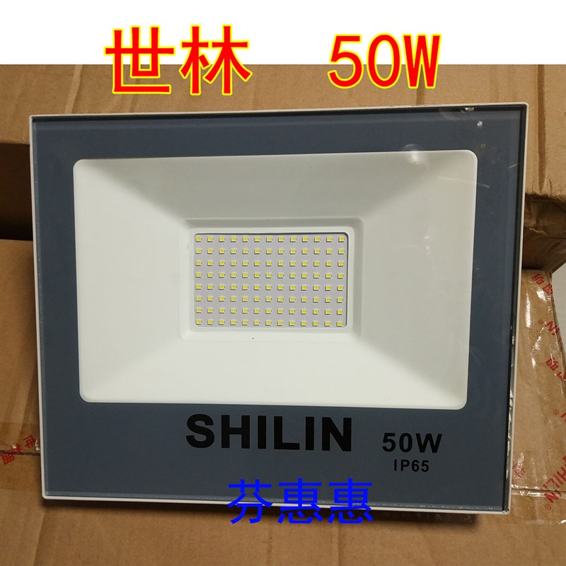 世林LED白光四方投光灯户外照明广告灯防雨广场灯工地用100W瓦
