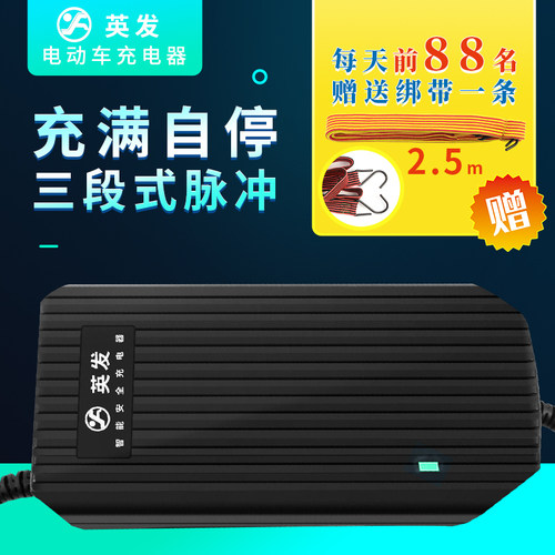 英发电动车铅酸电瓶充电器48V12AH20AH60V72伏新日爱玛雅迪三轮车