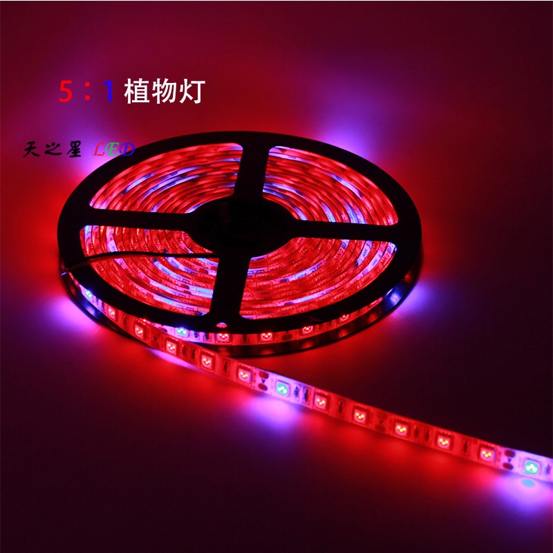 低压12V LED灯带5050植物灯带生长灯带植物补光软灯条 4:1 / 5:1