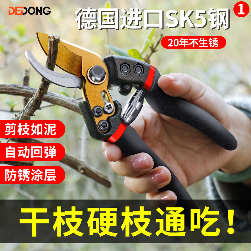 剪树枝专用剪刀果树修枝剪花剪园艺剪刀粗枝花艺家用园林剪刀工具图片