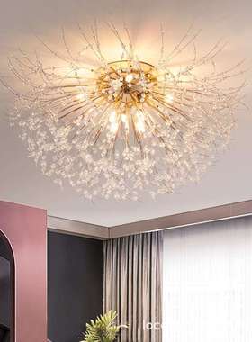 北欧卧室吸顶灯水晶灯客厅餐厅现代创意圆形蒲公英droplight室内