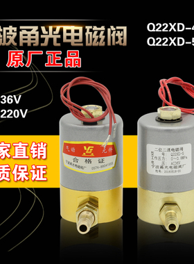 正品宁波甬光电磁阀 VQ22XD-4-5 AC36V AC220V 二位二通电磁阀