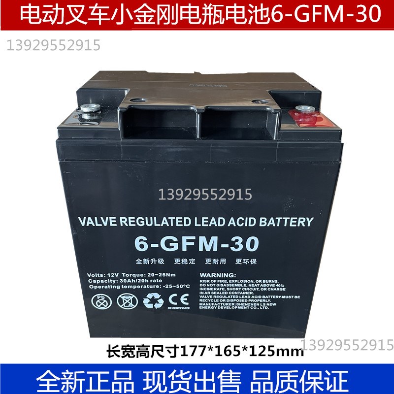中力大金刚电动叉车电瓶6-GFM-30电池EPT20ET托盘搬运车地牛电瓶