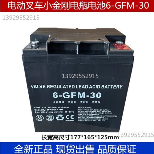 中力大金刚电动叉车电瓶6-GFM-30电池EPT20ET托盘搬运车地牛电瓶