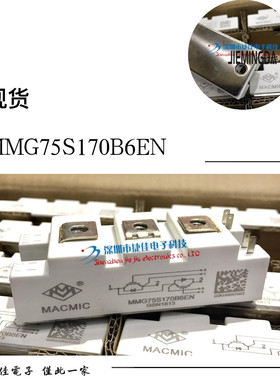 MMG100D170B6EN MMG75S170B6EN MMG100S170B6EN MMG100D170B6EN