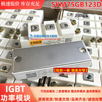 全新直拍 SKM75GB12T4 BSM75GB120DN2 SKM100GB128D FF100R12RT4