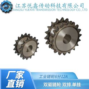假双排6分12A10齿 双驱 26齿双排单挂工业链轮双联滚筒链齿轮定做