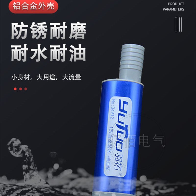 电动柴油抽油泵12V24伏加油机加油箱油抽子加油枪自吸泵潜水油泵